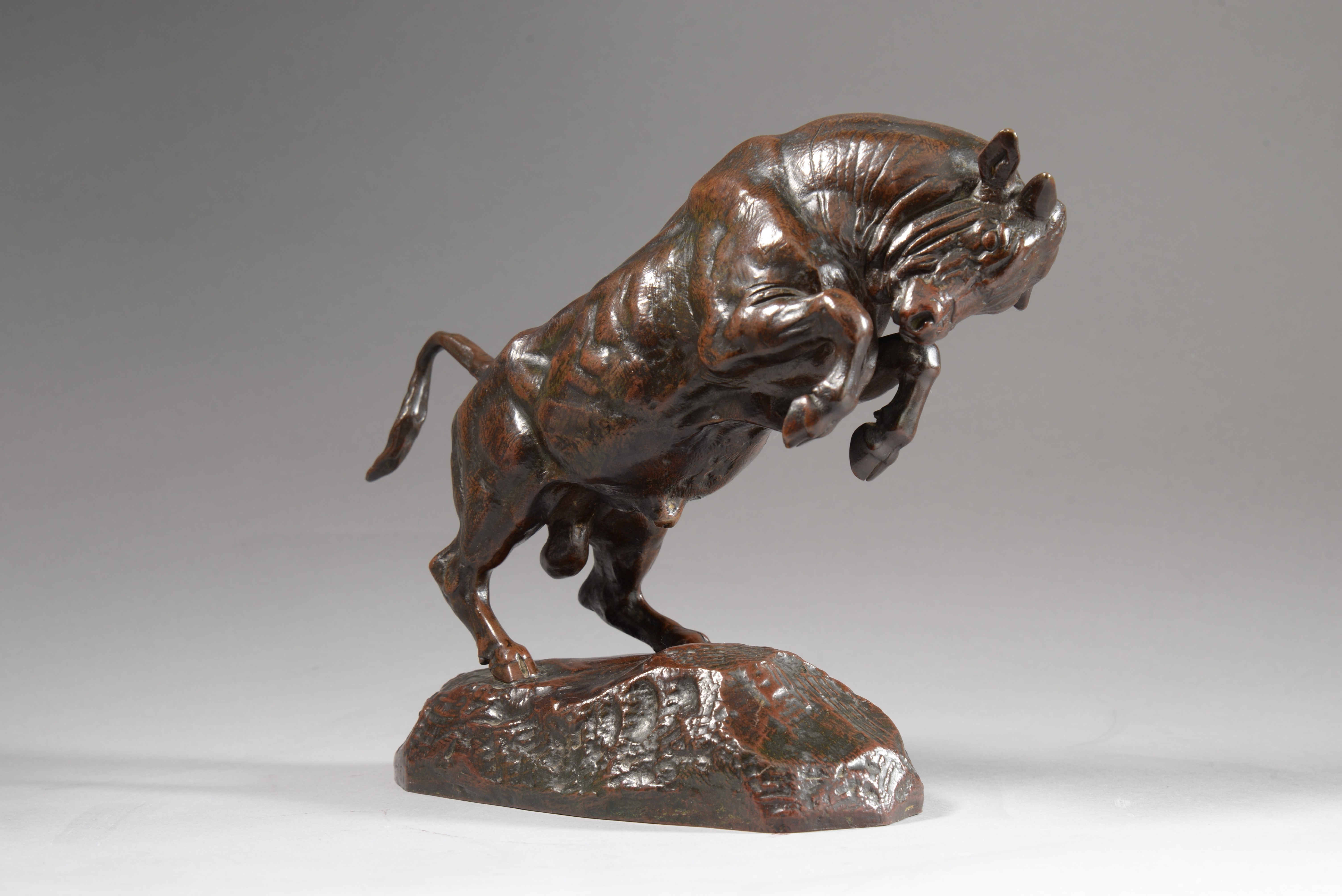 TAUREAU CABRÉ (1841)